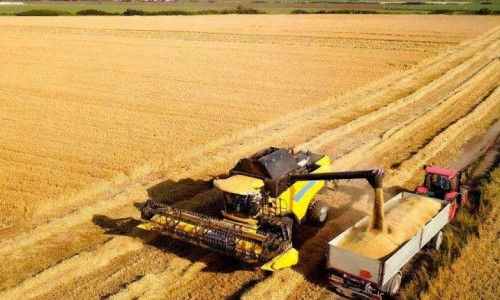 加拿大媒體報(bào)道美中貿(mào)易緊張局勢令美國農(nóng)業(yè)界擔(dān)憂（環(huán)球時(shí)報(bào)）