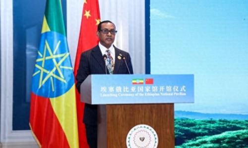 埃塞俄比亞大使點贊中國零關稅政策“為埃塞帶來廣闊機遇”（中新網(wǎng)）